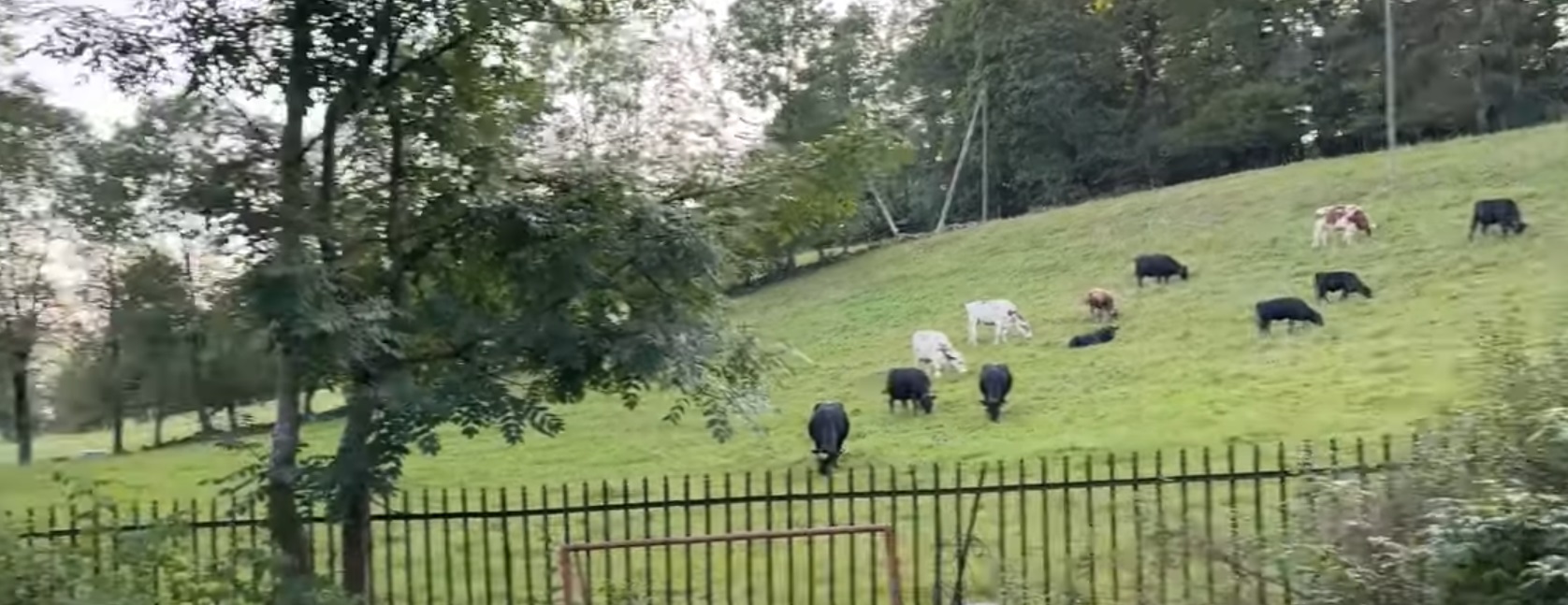La Chaux-De-Fonds Tour, Switzerland