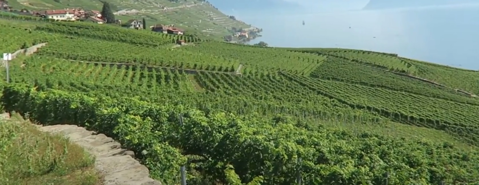 Lavaux Vineyards Tour, Switzerland