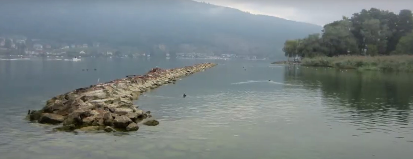 Prehistoric Pile Dwellings Around The Alps Tour, Switzerland